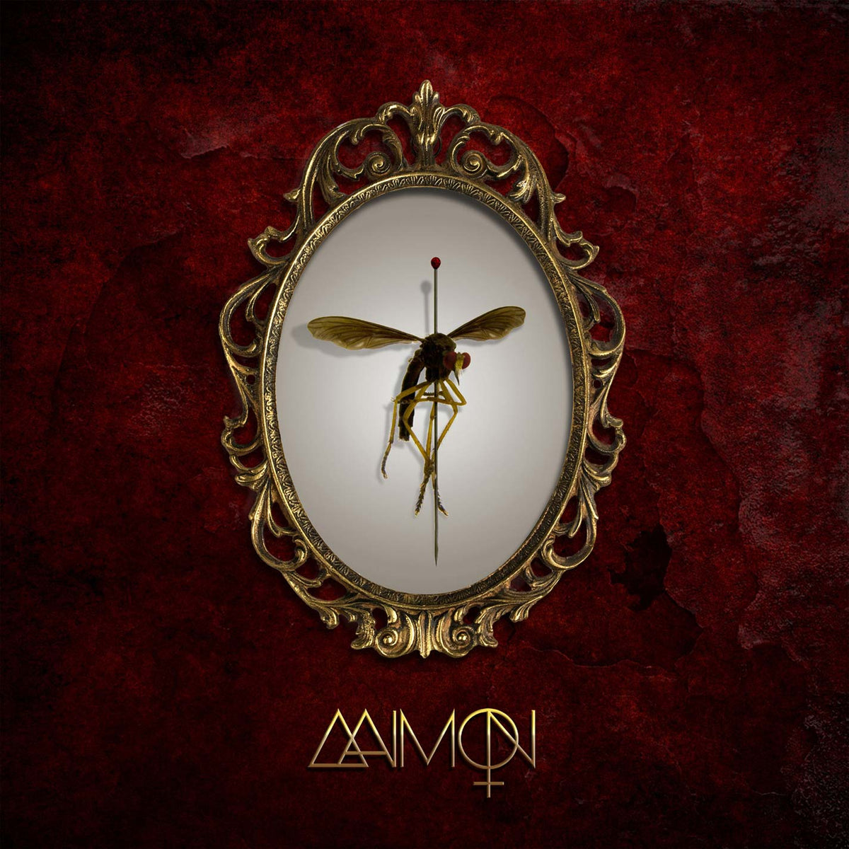 Aaimon Aaimon Vinyl