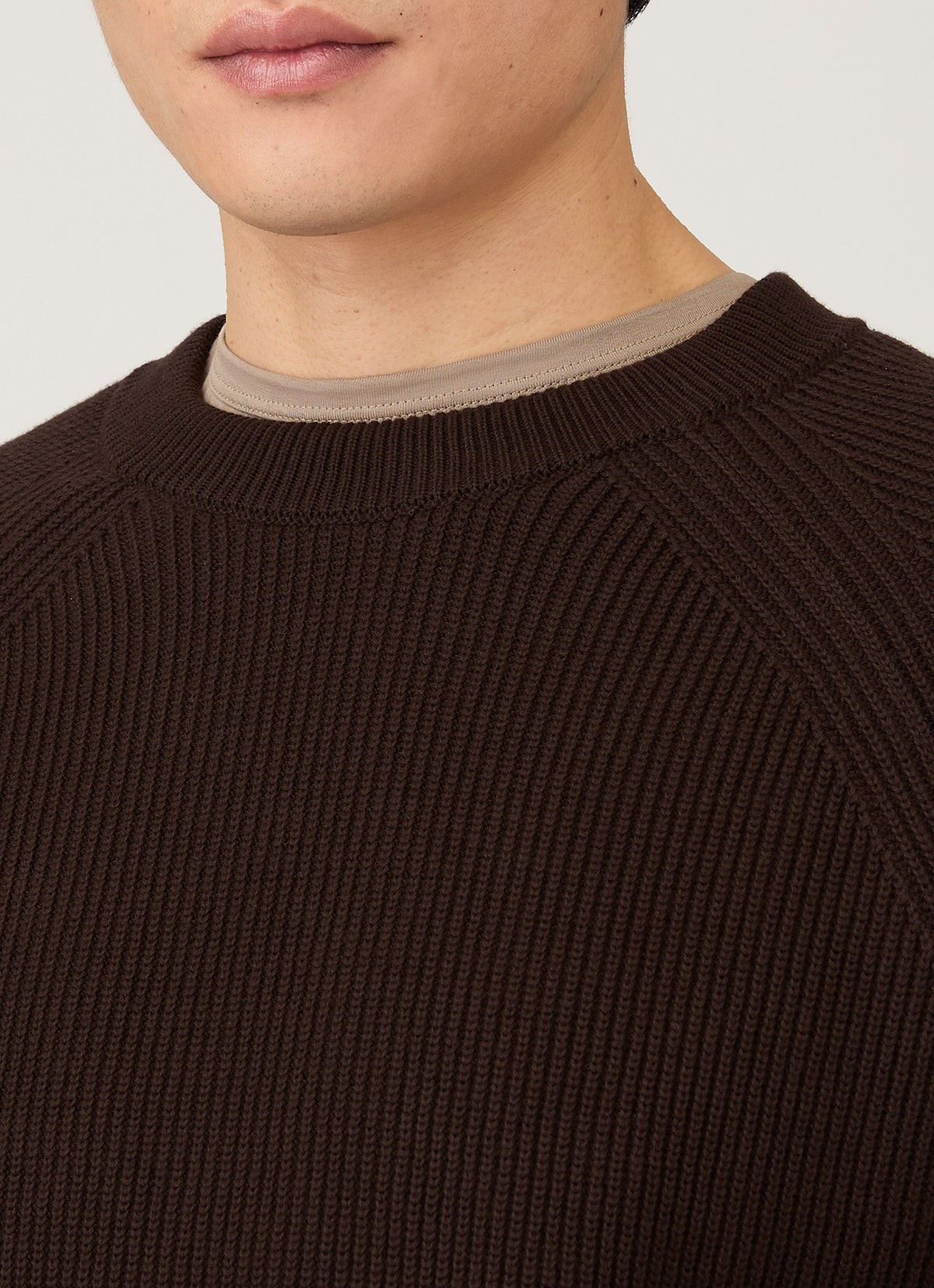 Mens Ribbed Jumper In Truffle Mjum8288 Brgd