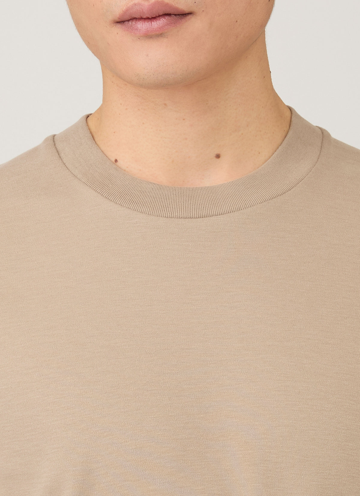 Mens Relaxed Fit Heavyweight Tshirt In Mink Mtsh0181 Brgb