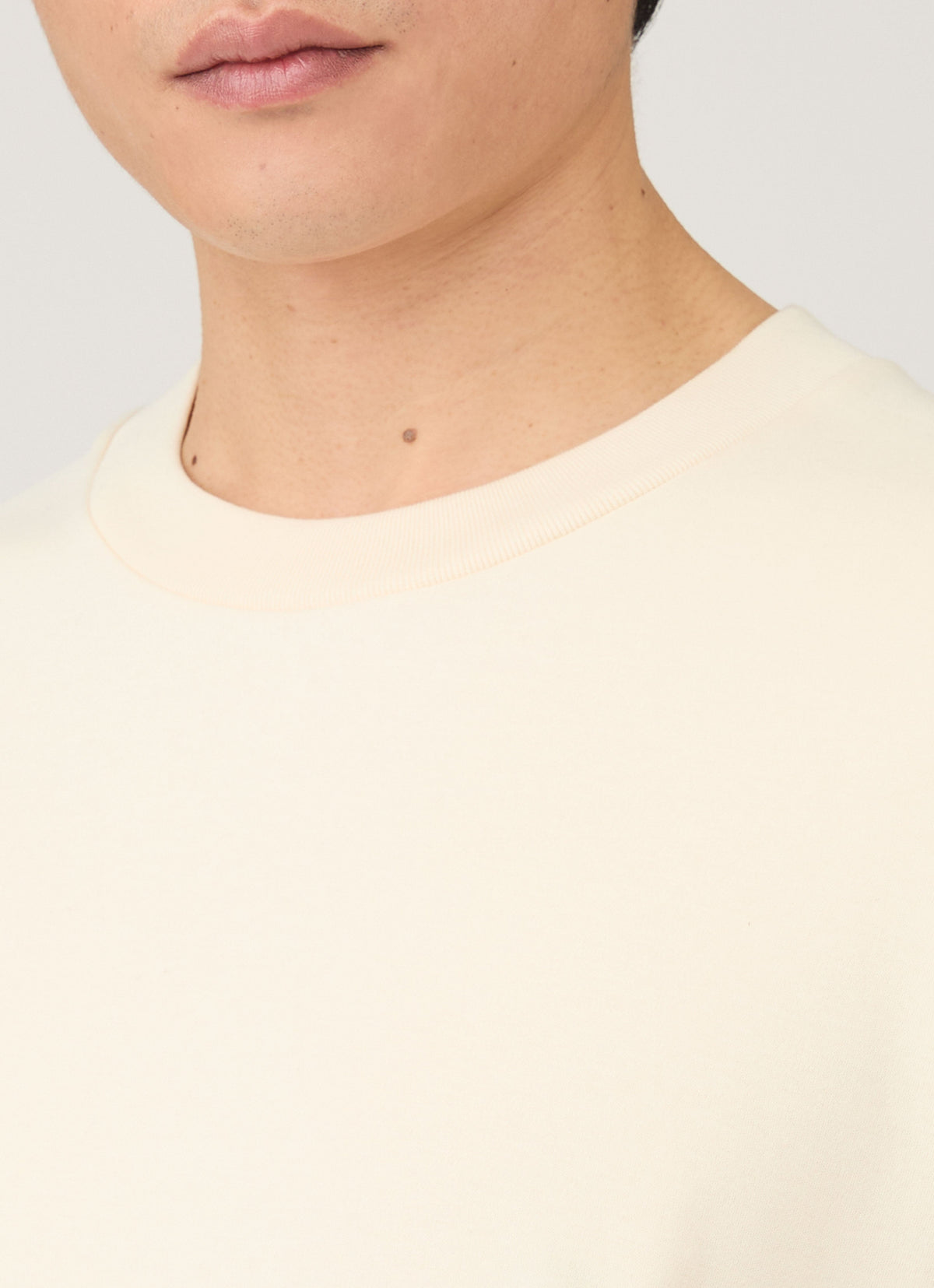 Mens Long Sleeve Heavyweight Tshirt In Undyed Mtsh0182 Nuab